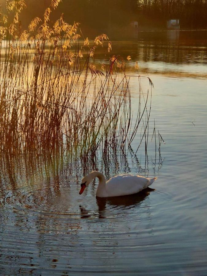 Tramonto Al Lago Lägenhet Gavirate Exteriör bild